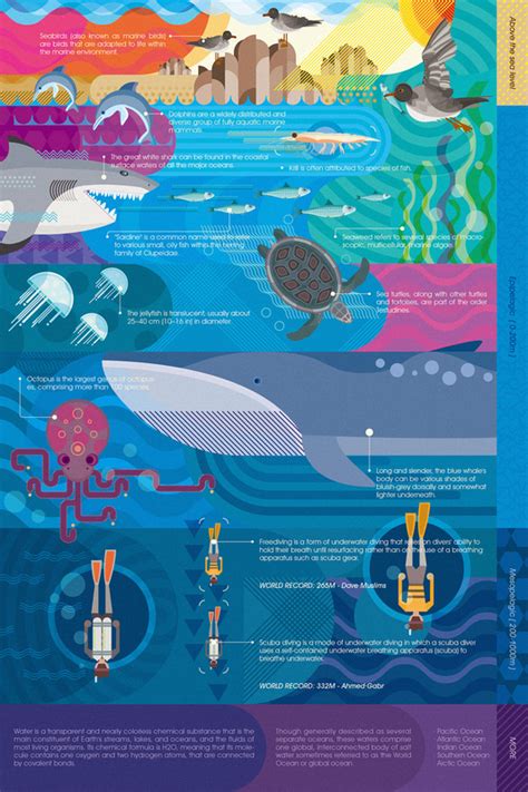 Ocean Infographic Template